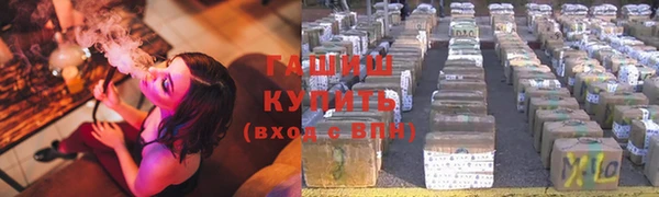стаф Богданович