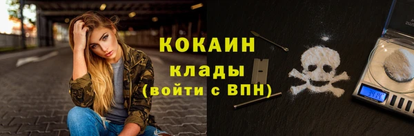 стаф Богданович