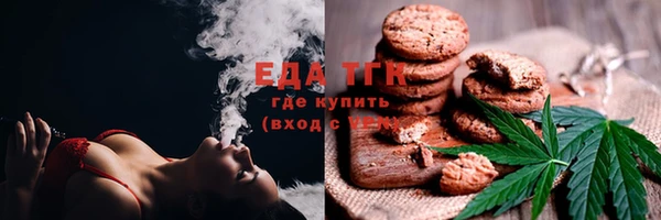 стаф Богданович
