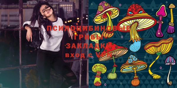 стаф Богданович