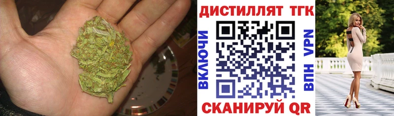 где купить   Каспийск  ТГК концентрат 